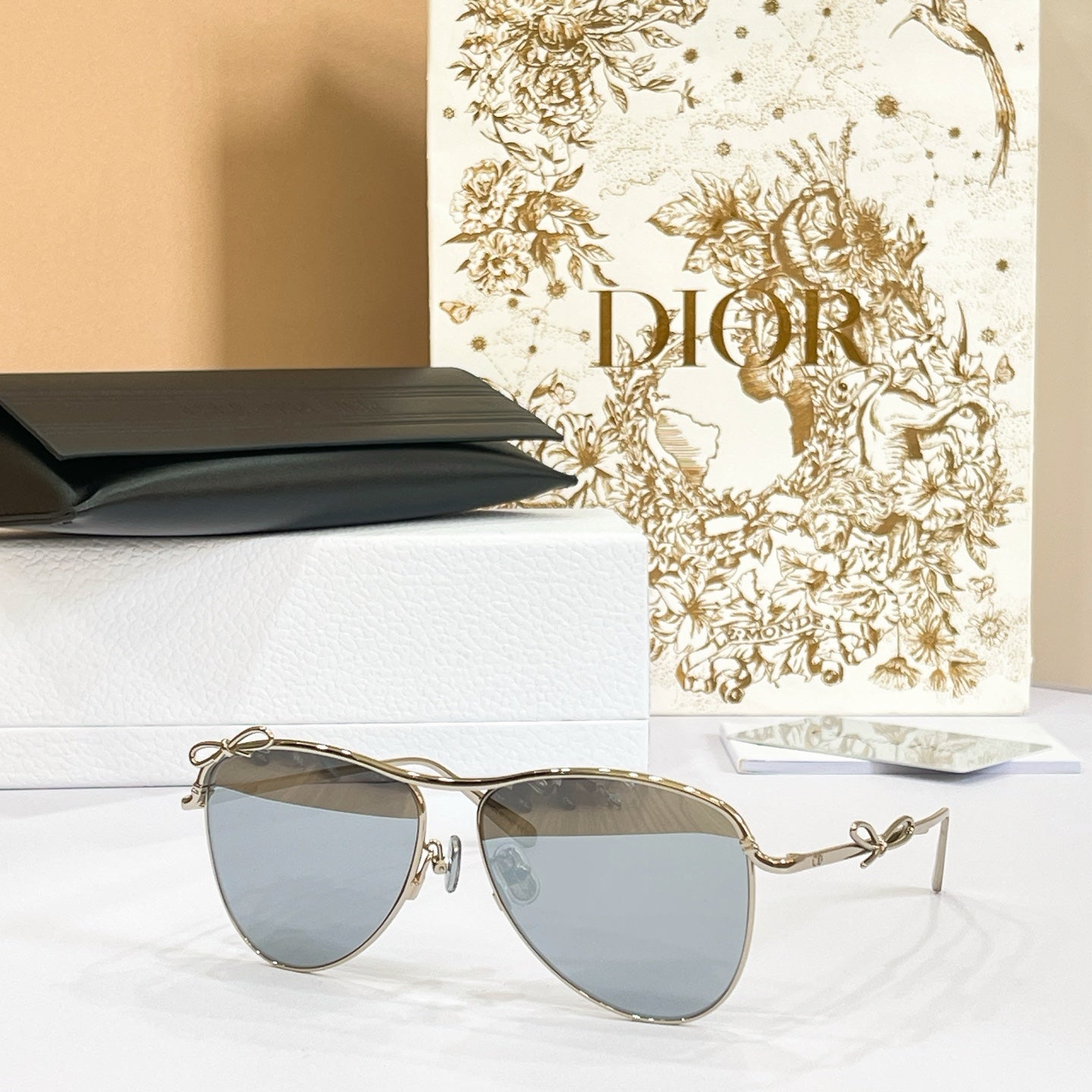 DIOR Sunglasses Dior Connoge A1U